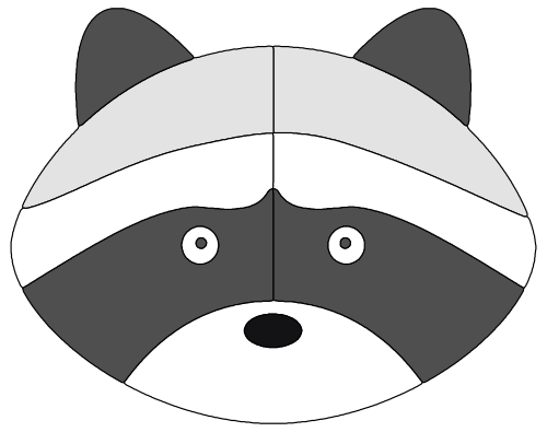 racoon