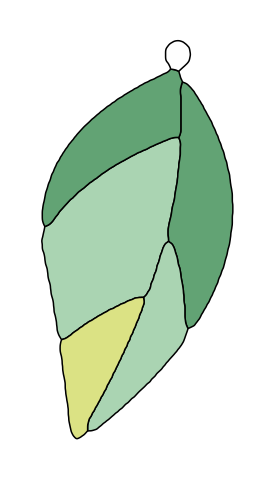leaf